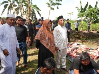 Bupati Siak Serahkan Sapi Kurban Presiden di Maredan Barat