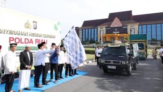 Polda Riau Potong 195 Hewan Kurban, Distribusi Menjangkau Desa-Desa Pelosok