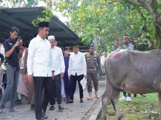 Usai Salat Iduladha, Bupati Kampar Tinjau Posko Kurban dan Serahkan Bantuan Sapi di Tapung