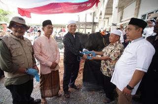 Bupati Herman Hadiri Penyembelihan Sapi Qurban Bantuan Presiden Prabowo di Keritang