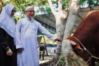 Sekdako Fahmi Sembelih Langsung Sapi Kurban Bantuan Presiden Prabowo di Masjid Al-Manan