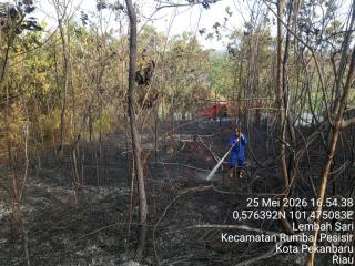 Wako Pekanbaru Tetapkan Status Siaga Darurat Karhutla, 61 Kejadian Terjadi Sejak Awal Tahun