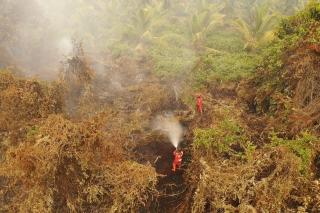 Hari Pertama Pemadaman, Manggala Agni Hadapi Karhutla 60 Hektare di Pelalawan