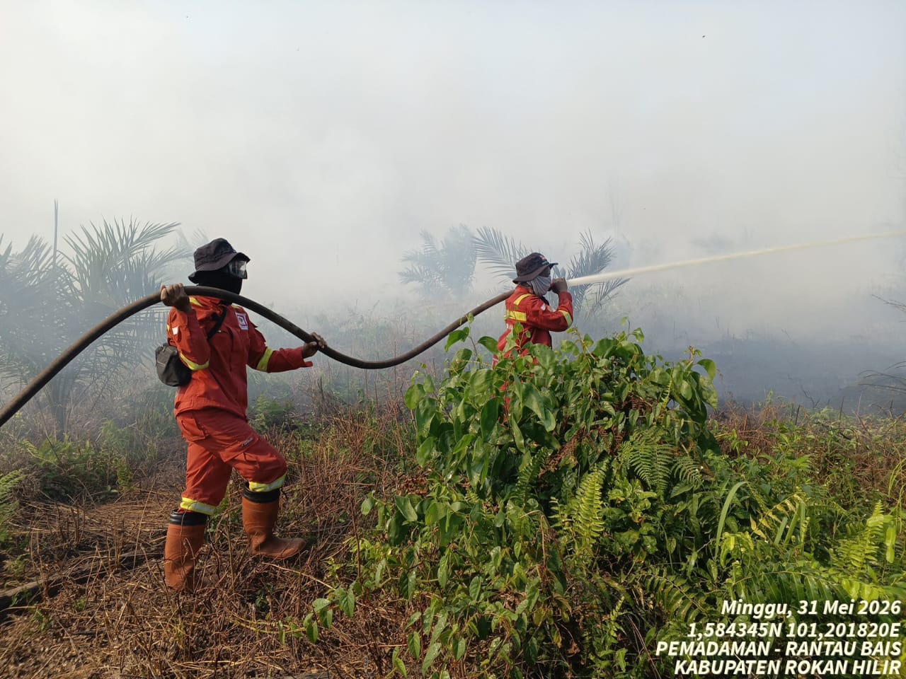 11 Daerah di Riau Tetapkan Status Siaga Darurat Karhutla, Kuansing Masih Menunggu