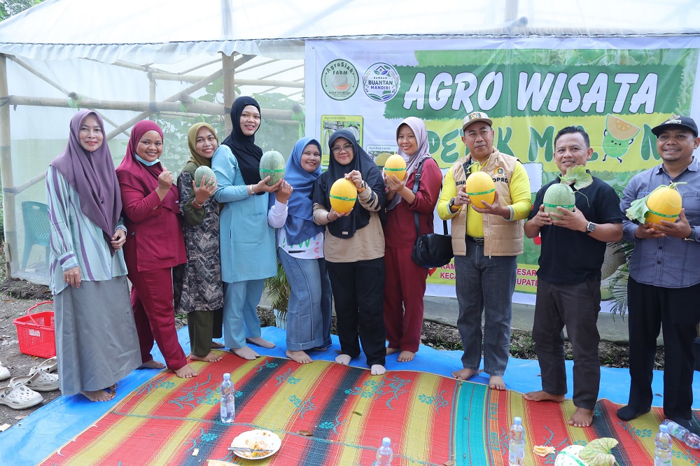 Panen Melon di Buantan Besar, Bupati Afni Sebut Dana Desa Mampu Tingkatkan PAD Kampung