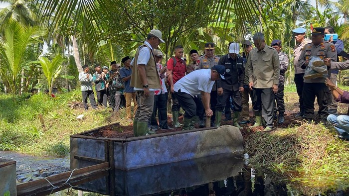 Menteri LH Tinjau Sekat Kanal di Kuala Kampar, Perkuat Mitigasi Karhutla di Lahan Gambut