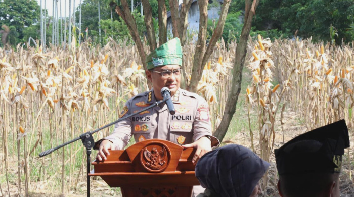 Panen Jagung, Polda Riau: Optimalkan Lahan Kosong Langkah Konkret Dukung Asta Cita Presiden