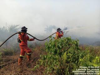 11 Daerah di Riau Tetapkan Status Siaga Darurat Karhutla, Kuansing Masih Menunggu