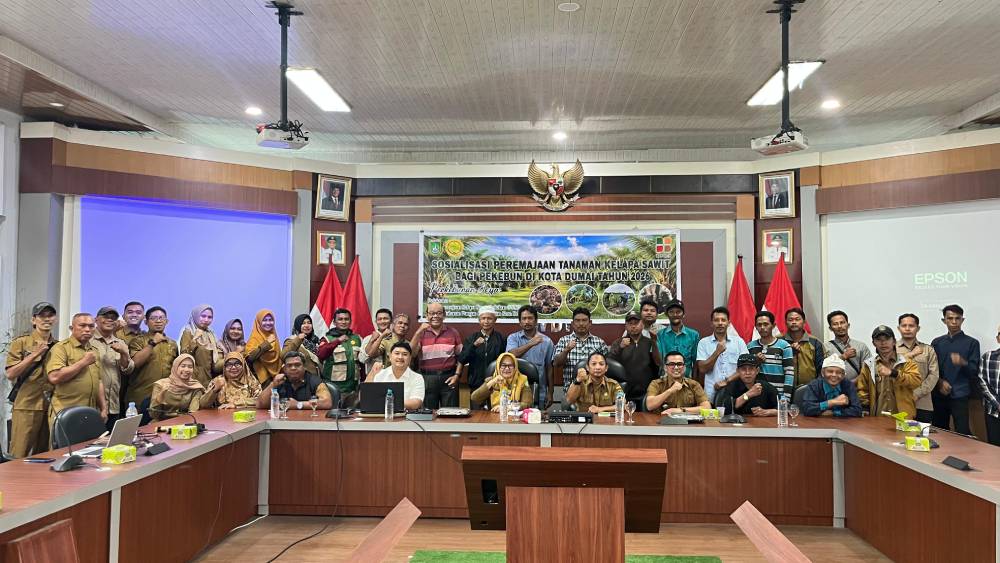 DKPP Dumai Genjot Program Peremajaan Sawit Rakyat, Targetkan 100 Hektare Terealisasi pada 2026