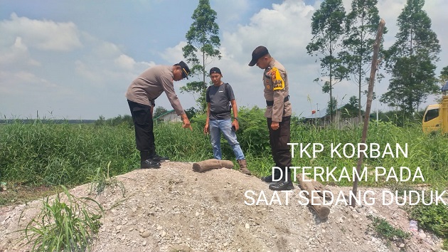 Pekerja Perkebunan di Pelalawan Meninggal Diduga Akibat Serangan Harimau Sumatra