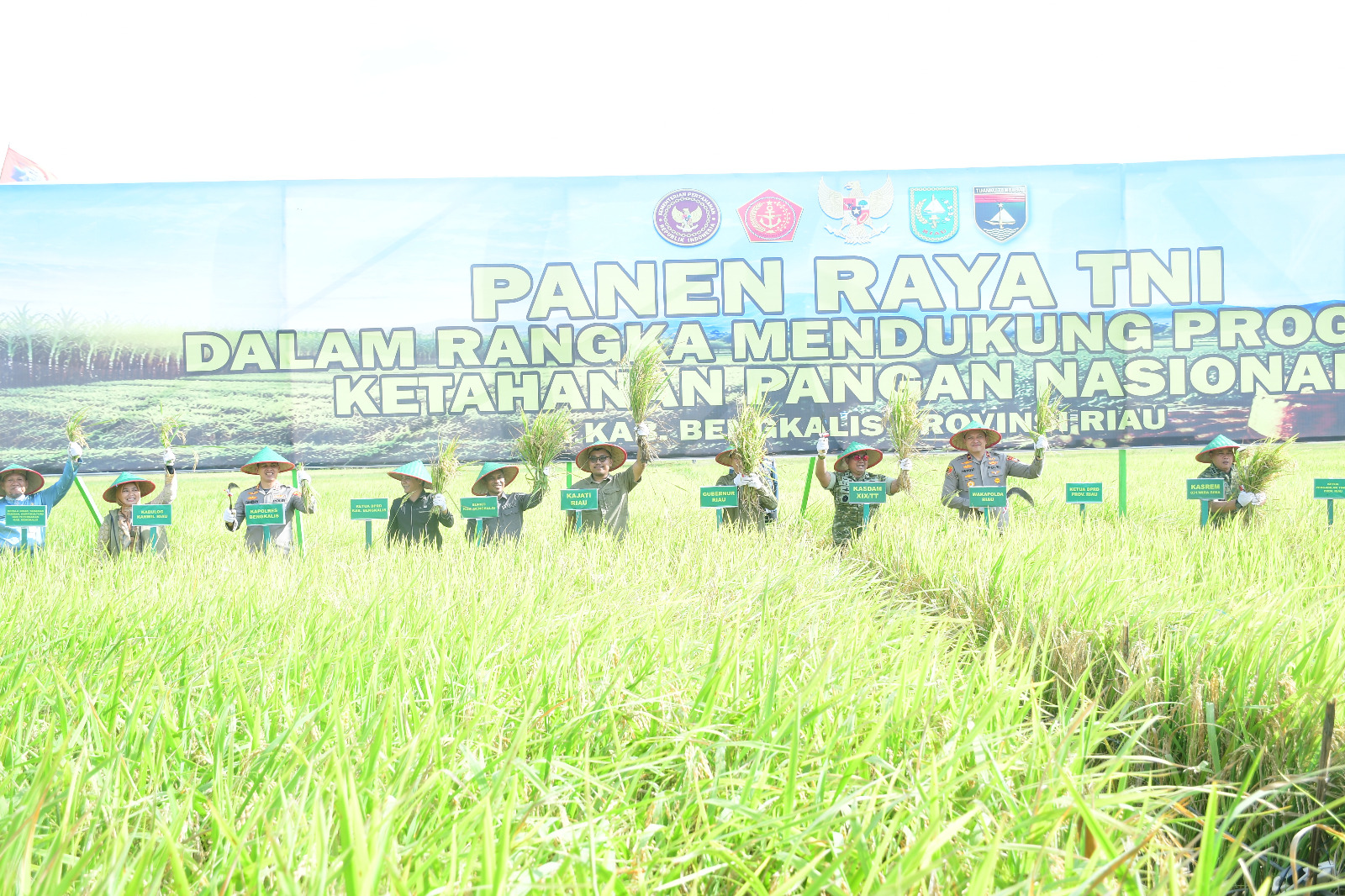 Wabup Bengkalis Hadiri Panen Raya TNI, Perkuat Sinergi Wujudkan Ketahanan Pangan Nasional