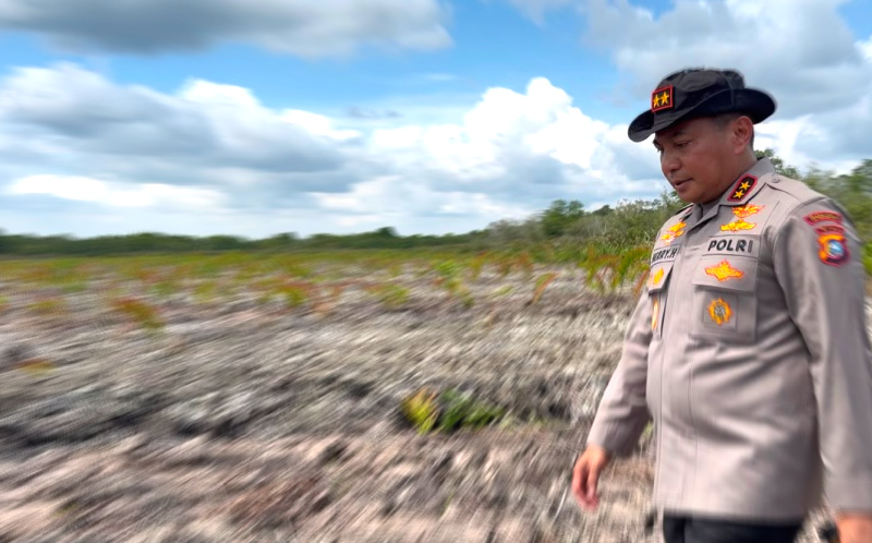 Lihat Mangrove Dirusak, Kapolda Riau: Ini Benteng Warga Pesisir, Tempat Satwa Hidup!