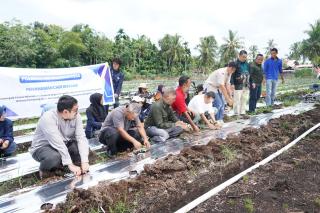 Polbeng Tanam 12 Ribu Bibit Cabai, Dorong Ketahanan Pangan Desa dengan Teknologi Tepat Guna