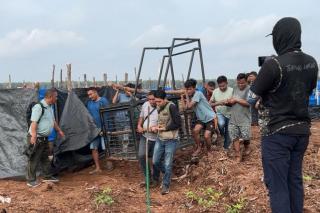 BBKSDA Riau Pasang Dua Kandang Jebak Setelah Serangan Harimau Kembali Telan Korban