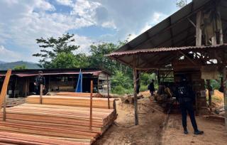 Green Policing Alert Button Menyala! Polda Riau bongkar Sawmill ilegal di Kampar
