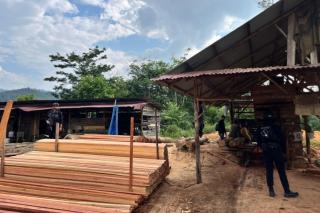 Polda Riau Bongkar Sawmill Ilegal di Kampar Kiri, Satu Tersangka Ditahan 