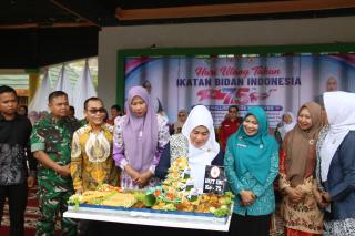 Peringati HUT IBI ke-75, Pemkab Inhil Perkuat Kolaborasi Tingkatkan Layanan Kesehatan