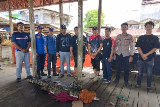 DPKP Inhil Evakuasi Buaya 2,4 Meter yang Masuk Kawasan Permukiman