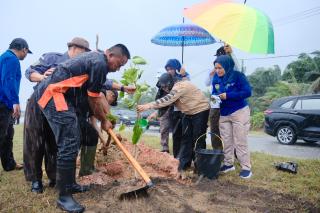 Hijaukan Siak, 5.050 Pohon Ditanam di Sepanjang Jalan Siak-Dayun