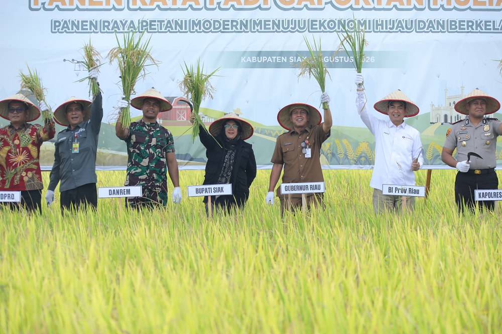 Smart Farming Binaan BI Riau di Bunga Raya Dongkrak Produktivitas Padi Hingga 10 Persen