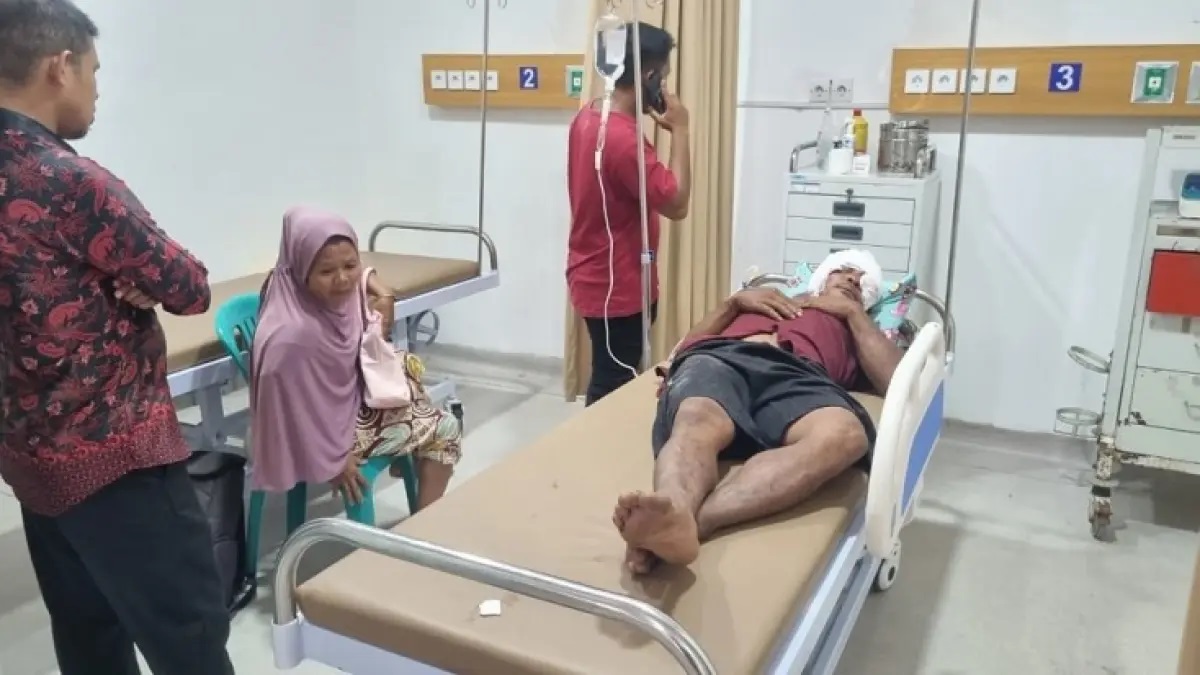 Petani Karet di Pelalawan Terluka Parah Diserang Beruang Saat Menyadap Getah