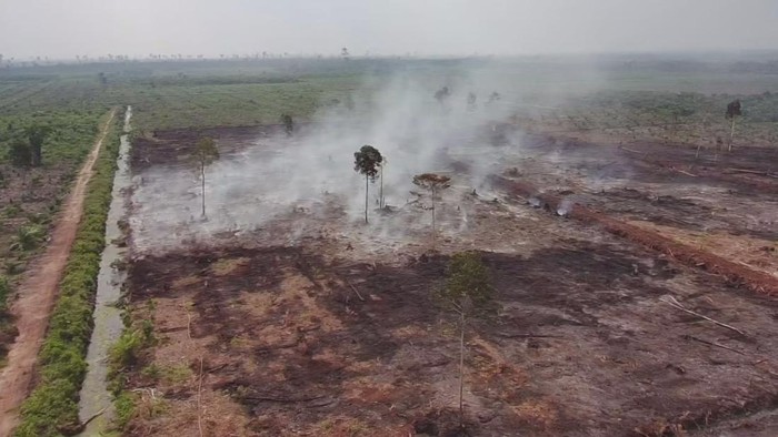 Karhutla 4 Hektare di HGU Bengkalis, Polda Riau Tetapkan Dua Tersangka