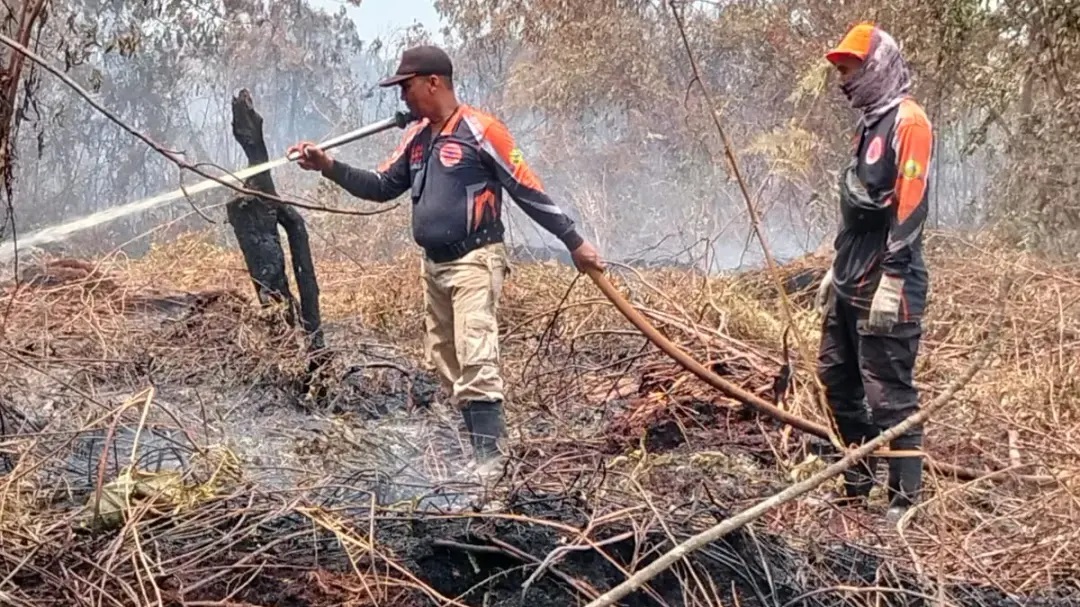 Tim Gabungan Padam Karhutla di Dua Lokasi Inhil, Luas Lahan Terbakar Capai 15 Hektare