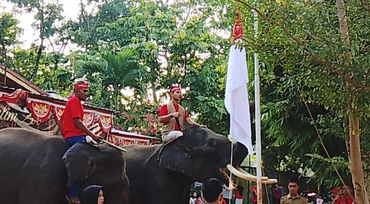Unik! Gajah Budi dan Valenti Kibarkan Merah Putih di Kasang Kulim Zoo