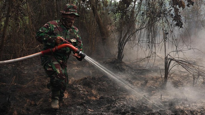 Karhutla di 9 Wilayah, 72 Orang Jadi Tersangka dan Riau Terbanyak