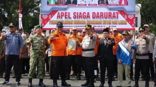 204 Hektare Lahan Terbakar, Bupati Inhil Minta Semua Pihak Waspadai Karhutla