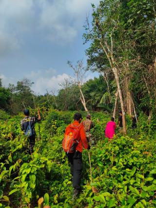 Tim SAR Gabungan Sisir Perkebunan Cari Lansia 80 Tahun yang Hilang di Meranti