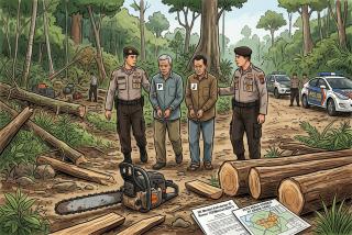 Polisi Amankan Dua Terduga Perambah Hutan di Konsesi PT Arara Abadi Bengkalis