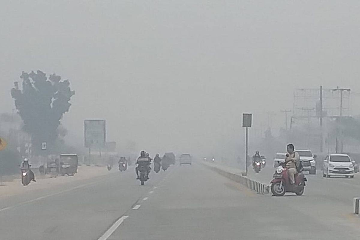 Kasus ISPA di Riau Tembus 11.370, Karhutla Meluas ke 12 Kabupaten dan Kota
