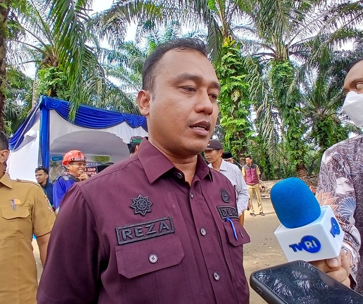 37 Pohon Terdampak Pelebaran Jalan, DLHK Pekanbaru Pastikan Penghijauan Kembali