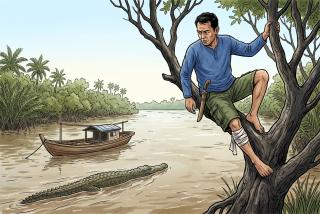 Diterkam Buaya 4-5 Meter, Nelayan Inhil Bertahan 6 Jam di Atas Pohon