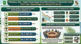 Harga TBS Sawit Mitra Plasma Riau Turun, Kini Rp3.931 per Kg