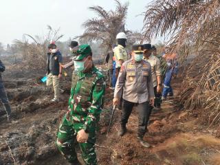 Karhutla 34 Hektare di Dayun Jadi Perhatian, Pangdam dan Kapolda Riau Turun Langsung