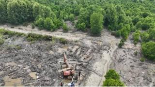 Polda Riau Tetapkan Satu Tersangka Perambahan 111,77 Hektare Mangrove di Dumai