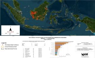 Karhutla di Area HGU,  WALHI Desak Menteri ATR/BPN Tindak Tegas Korporasi