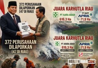 Arara Abadi  Dan RAPP Juara Karhutla Di Riau, Walhi Layangkan  Laporan Lengkap Ke Presiden Prabowo