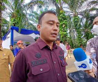 37 Pohon Terdampak Pelebaran Jalan, DLHK Pekanbaru Pastikan Penghijauan Kembali