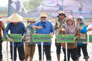 Kementan Tanam Serempak 50 Ribu Hektare, Bupati Afni Ungkap Kendala Air Sawah di Siak
