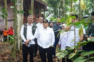Delapan Tahun Restorasi, 451 Ribu Hektare Gambut Riau Berhasil Dipulihkan