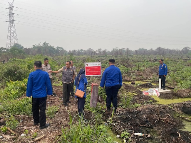 Sisir Lahan Eks Karhutla di Pekanbaru, BPBD Pastikan Tak Ada Lagi Titik Api