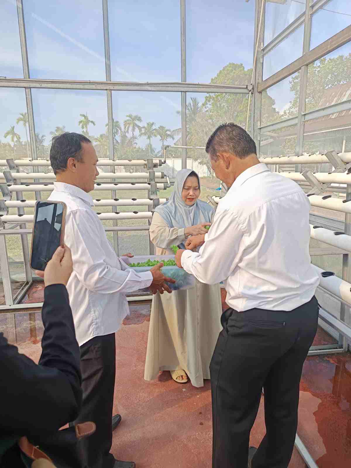 Tekan Inflasi Jelang Nataru, Kasmarni Ajak Warga Bengkalis Tanam Cabai dan Sayuran di Pekarangan