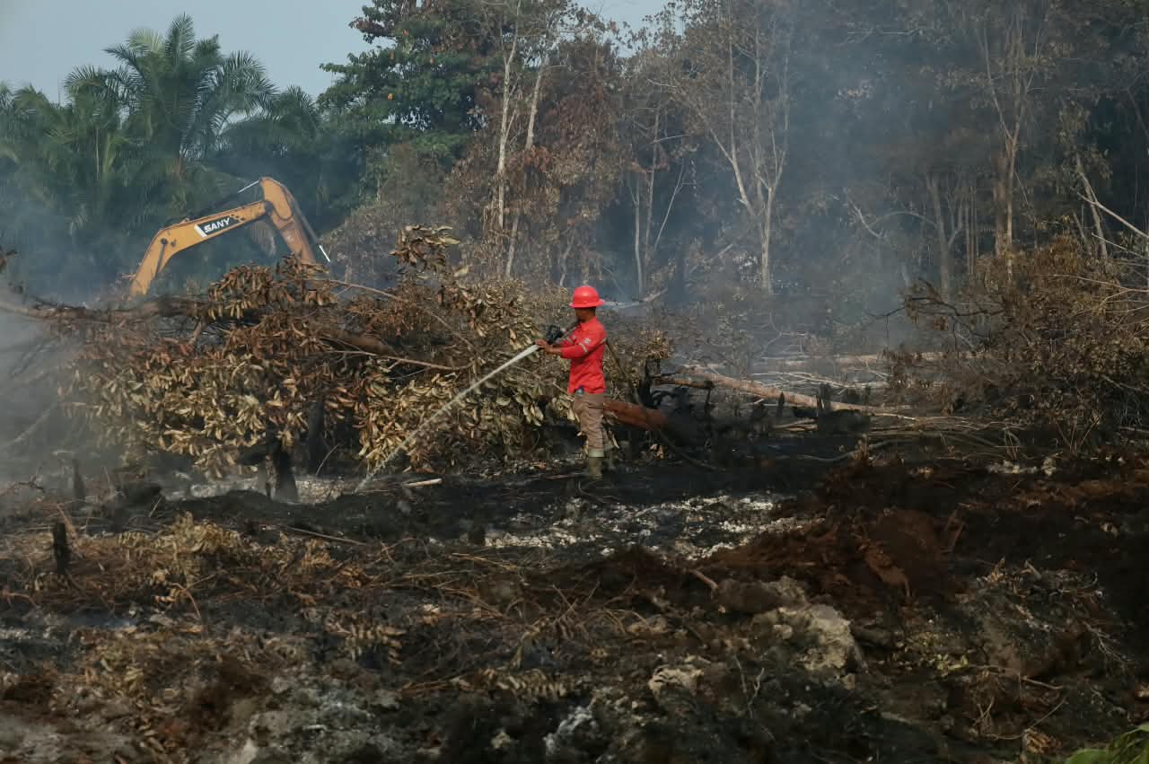 65 Tersangka Karhutla Ditangkap di Riau, 61 Kasus Ditangani Polisi, Tak Ada Perusahaan Terlibat