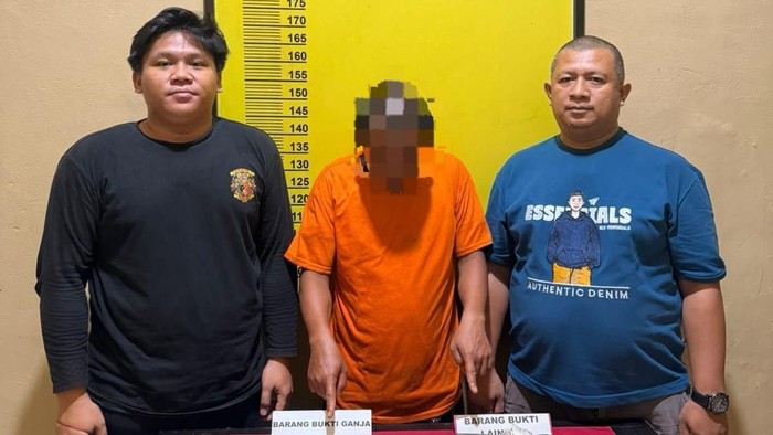 Polisi Gerebek Rumah di Panipahan Rohil, 34 Paket Ganja Disita, Pria 43 Tahun Ditangkap