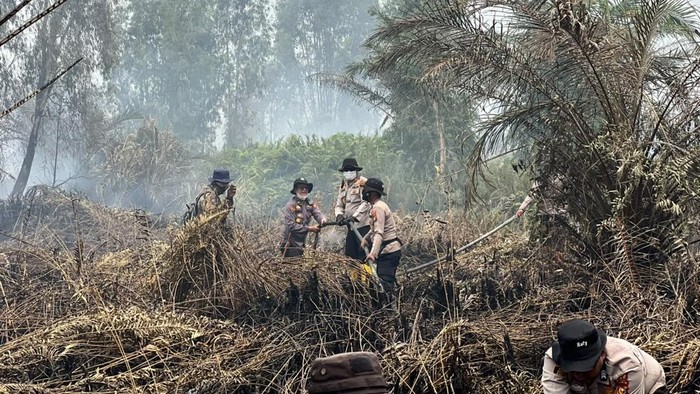 BNPB Sebut Riau Bebas Titik Api Karhutla, Sumsel dan Jambi Justru Mengalami Kenaikan