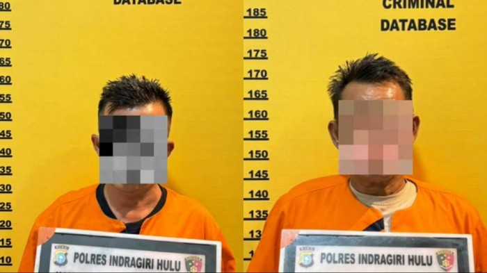 Polisi Tetapkan Dua Tersangka Perambah Hutan Konsesi di Inhu, Oknum Kepala Desa Diduga Terlibat