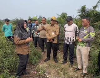 Bupati Afni Jawab Pertanyaan Presiden soal Karhutla: Gambut Harus Basah, Pencegahan Dimulai dari Hul